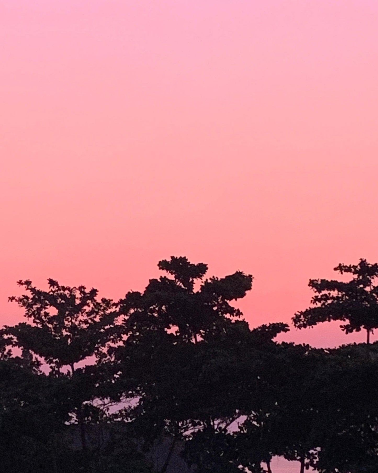 Creating Healing Circles®: An IFS Group Facilitation Retreat in Bali with Chris Burris EARLY BIRD DEPOSIT (995 USD)
