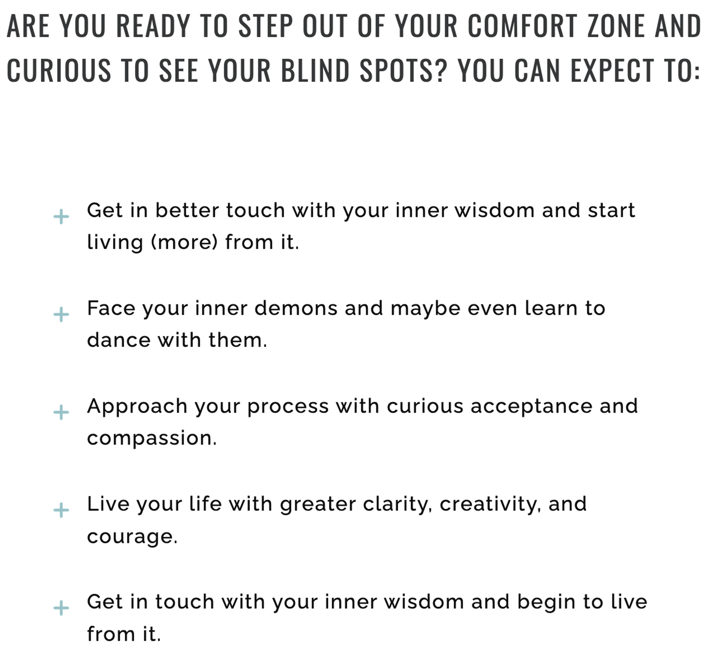 1 x IFS Mentoring Session with Trine (175 USD)