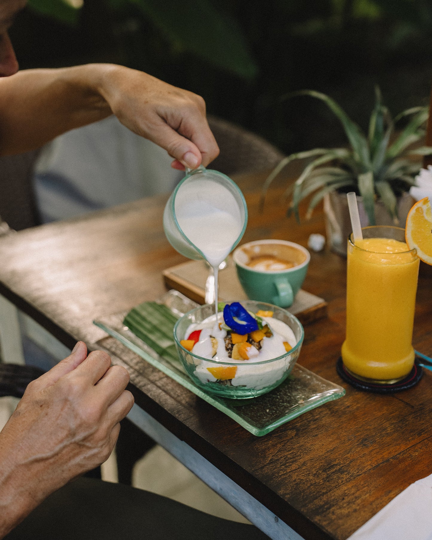 IFS retreat for therapists in Bali - Cece Sykes,  EARLY BIRD DEPOSIT (995 USD)