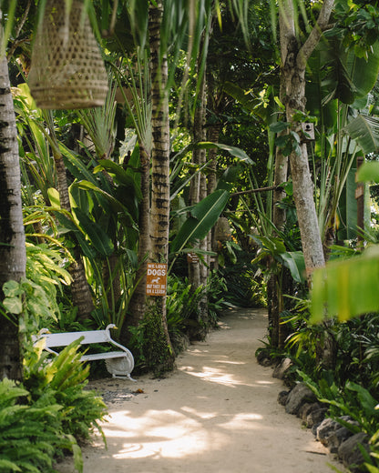 IFS retreat for therapists in Bali - Cece Sykes,  EARLY BIRD DEPOSIT (995 USD)