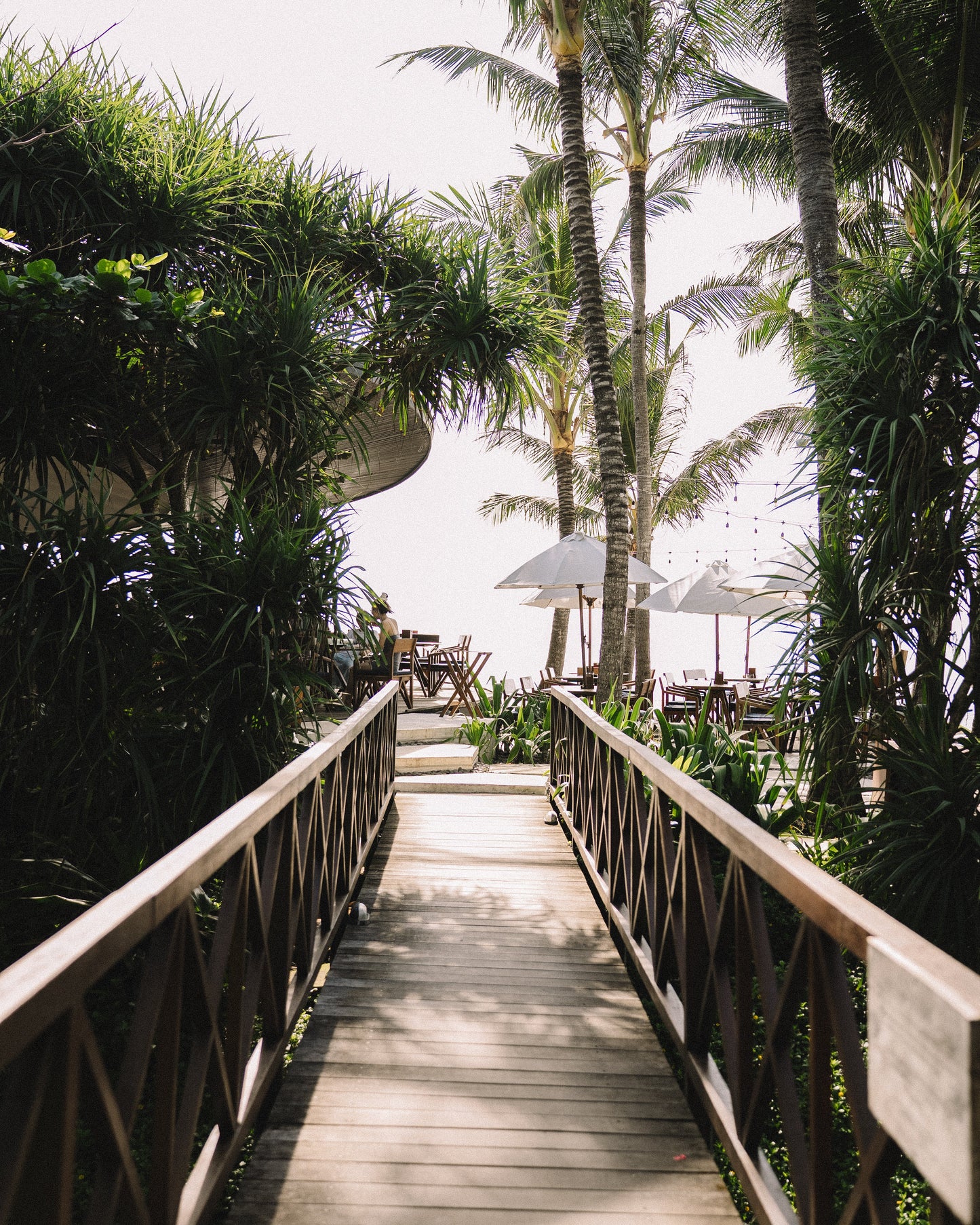 IFS retreat for therapists in Bali - Cece Sykes,  EARLY BIRD DEPOSIT (995 USD)