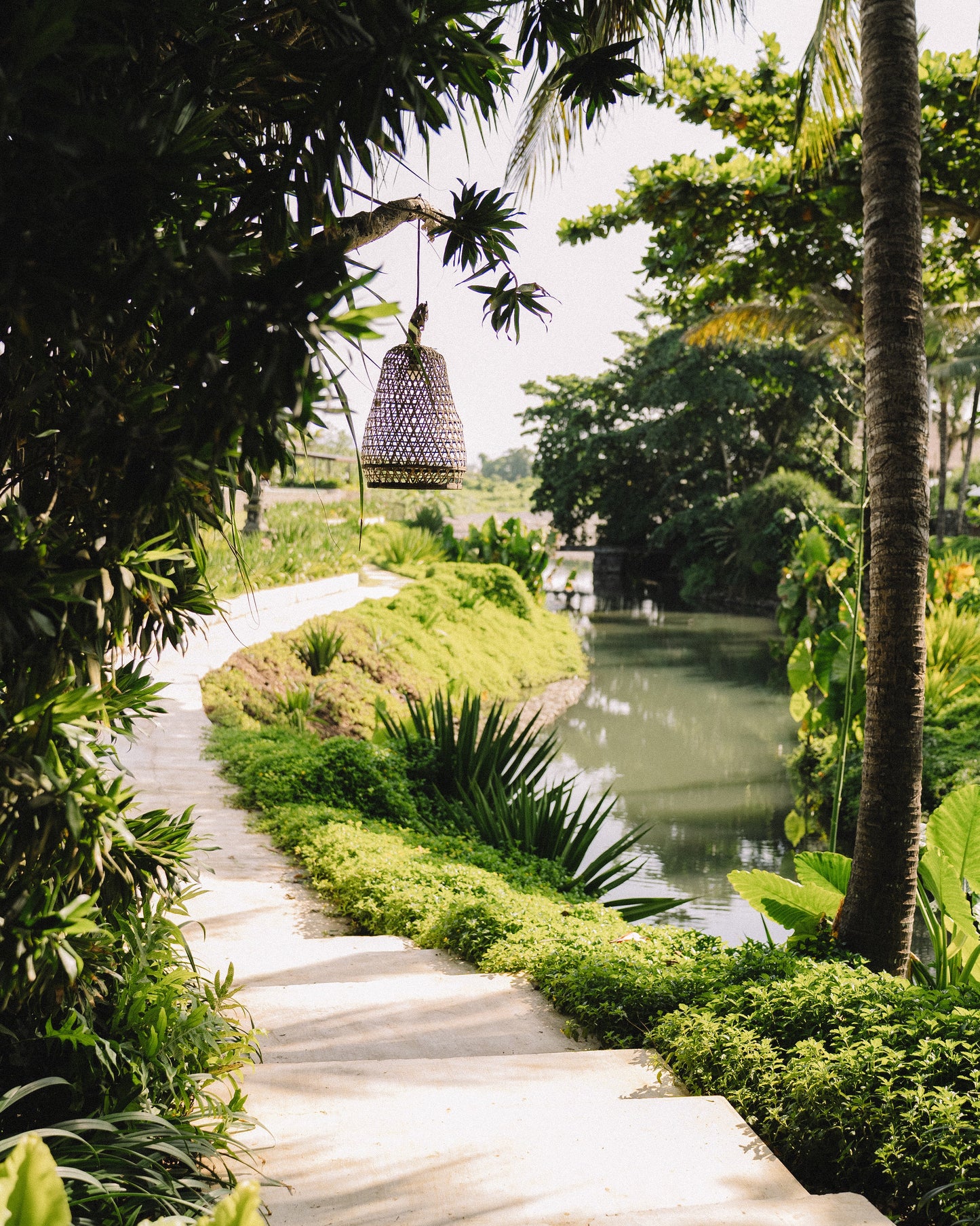 IFS retreat for therapists in Bali - Cece Sykes,  EARLY BIRD DEPOSIT (995 USD)